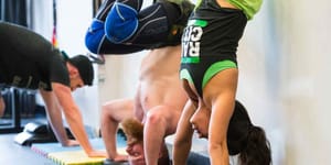 Handstand Pushup Skill Development