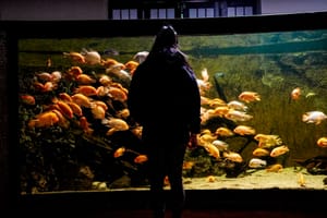 The Budapest Zoo #thortakespics